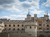 IMG_8344