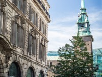 IMG_8402