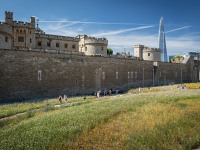 IMG_8419