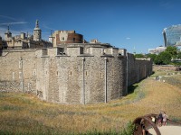 IMG_8420