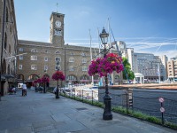 IMG_8434