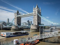 IMG_8453
