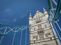 IMG_8487