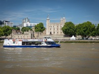 IMG_8494