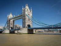 IMG_8496
