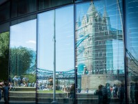 IMG_8500