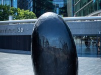IMG_8505