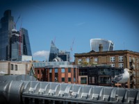 IMG_8540