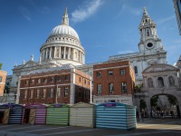 IMG_8548