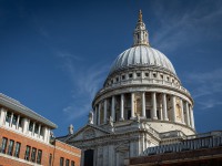 IMG_8549