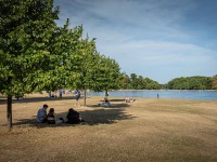 IMG_8556