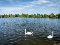 IMG_8561