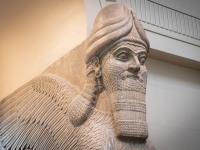 IMG_8593