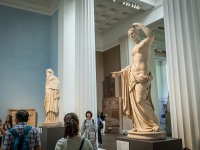 IMG_8601