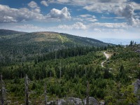 IMG_9299