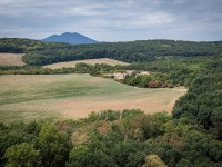 IMG_9339