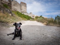 IMG_9397