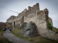 IMG_9421