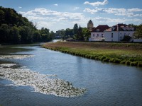 IMG_9463