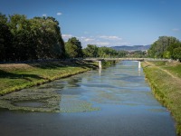 IMG_9464