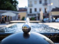 IMG_9507
