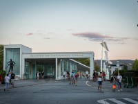 IMG_9509