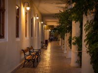 IMG_9525