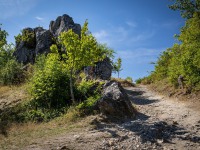 IMG_9548