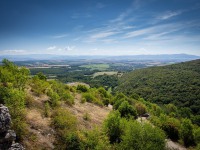 IMG_9560