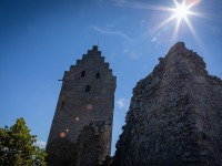 IMG_9574