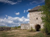IMG_9606