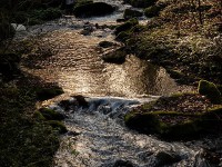 IMG_2099