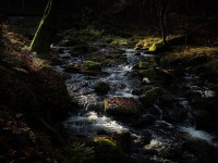 IMG_2109