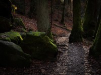 IMG_2143