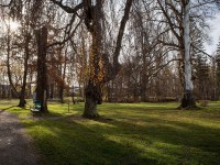 IMG_2172