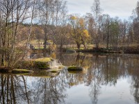 IMG_2198