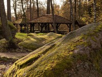 IMG_2207
