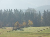 IMG_2258