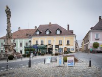 IMG_2264