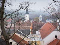 IMG_2270