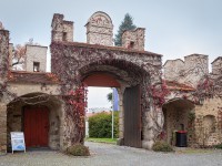 IMG_2276