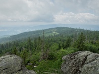 IMG_8293