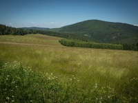 IMG_8354