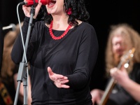 IMG_8769