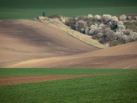 IMG_0049