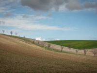 IMG_0123