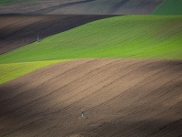 IMG_0148