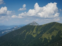 IMG_0842