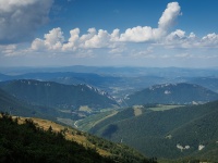 IMG_0856