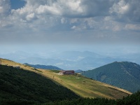 IMG_0860